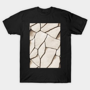 Limestone Stone Pattern Texture #2 T-Shirt